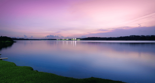 10 Fun Things to Do in Yishun