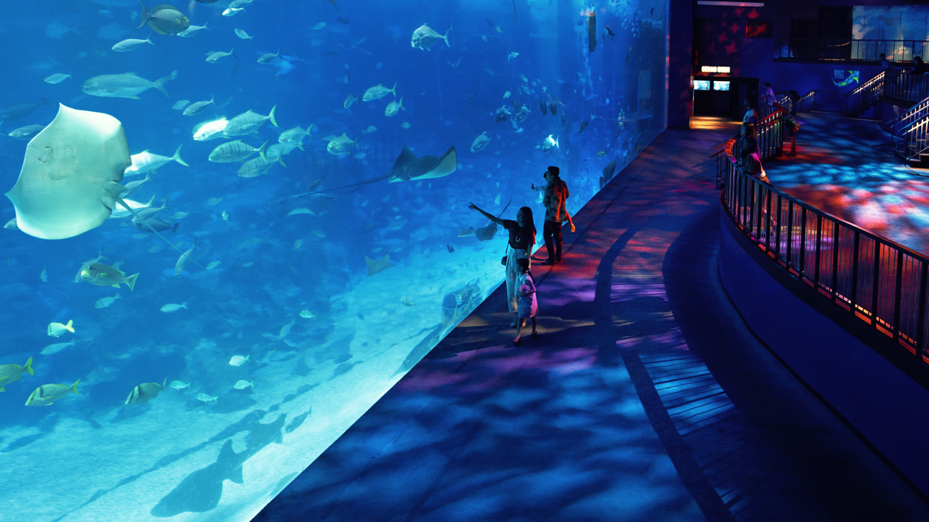 S.E.A. Aquarium